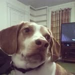 kiera hooper - @peanut102106 - Instagram