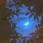 Kiera McNally - @minikikiipad - Instagram