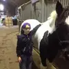 kieranmcnally11 - @kieranmcnally11 - TikTok