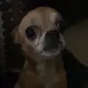 kiara moses - @kiaraamoses - TikTok