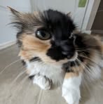 Kiera Whitehead - Facebook