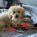 Kieran Cain - Facebook