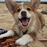 Kieran Casey - @mcbainbuttons - Instagram
