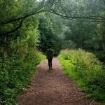 Kieran Hamilton - @kieran.h_photography - Instagram