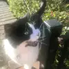 kieranhamilton63f8 - @kieranhamilton63f - TikTok