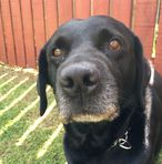 Kieran Howard - Facebook