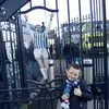 Kieran McCabe - @kieran.mccabe1 - TikTok