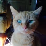 Kieran Mccarty - @mccarty_kieran - Instagram