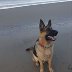 Kieran McManus - @l0kii1 - Instagram