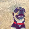 Kieran Roberts - @kieran.roberts - TikTok