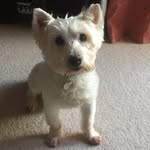 Kieran Stephens - @kieransportraits - Instagram