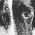 kieran - @kieran.todd321 - Instagram