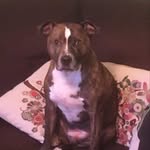 Kieran Todd - @_kmt2601 - Instagram