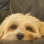 Kieran wall - @kieranwalluk - Instagram