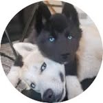 kieran - @kieran_warren588 - Instagram