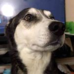 Kieran Wolf - @monkeymood1212 - Instagram