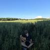 kieronjones_music - @kieronjones_music - TikTok