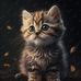 Kiara Bailey - Facebook