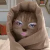 Kiara Meyer - @kiara_meyer - TikTok