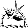 kierraschweitz - @kierraschweitz - TikTok