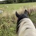 Kiera Sturman-woods - Facebook