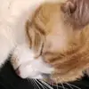 Kiersten Bell - @kiersten.bell8 - TikTok