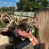Kirsten Bell - @kirstenbell72 - TikTok