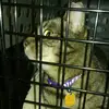 Kaitlyn_Heart_123456 - @kiersten.bennett - TikTok