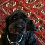 Kirsten Bennett - Facebook
