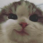 Kiersten Hall - @kiersten_hall12 - Instagram