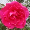 Kiersten Long - @.kiersten.marie - TikTok