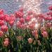 Kirsten Lynch - Facebook