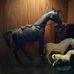 Kiersten Marshall - Facebook