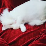 Kirsten Snyder - @snyder.kirsten - Instagram
