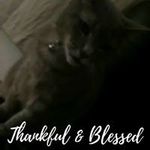 Kirsten Walker - @kirsten.walker.1806 - Instagram