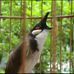 Kiet Luu - Facebook