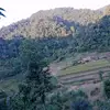 Kieu Luong - @kieu.luong8 - TikTok