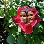 Kieu Vu - @vu_o_kieu - Instagram