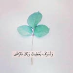 Kifah Issa - @kifahissa - Instagram