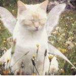 Christine Kiki Ferguson - @extraterrestrial.kiki - Instagram