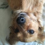 Kiki Ferguson - @zykia_spam_page._ - Instagram