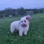 Kiki Grosperrin - @kikigrosperrin - Instagram