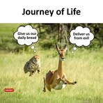 Kweku Shepherd - Facebook