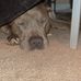 Ki'la Smith - Facebook