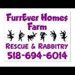 Kiley Butler - @furrever.homes.farm - Instagram