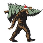 Kiley & Rob Owens Cobb Mountain Family Christmas Trees - @cmfchristmastrees - Instagram