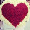kileycobb_ - @laurene665842 - TikTok