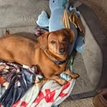 Kiley Foster - @halfpint6710 - Instagram