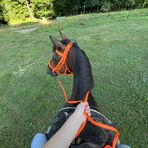 Kylee Harless - Facebook