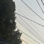 Kiley Dolan - @kiley.morse.58 - Instagram